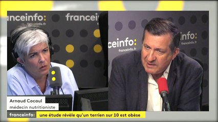 1 terrien sur 10 est obèse, et les plus pauvres sont encore et toujours les plus touchés