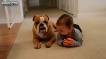 Cute Dogs and Babies Crawling Together - Adorable babies Co
