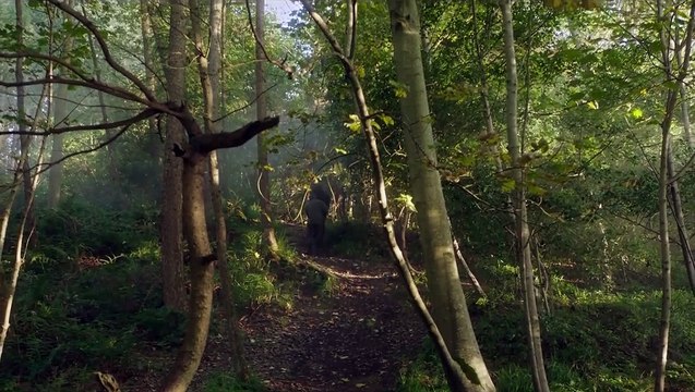 The Daily Show with Trevor Noah Season 2 Episode 144 Full Episode Streaming