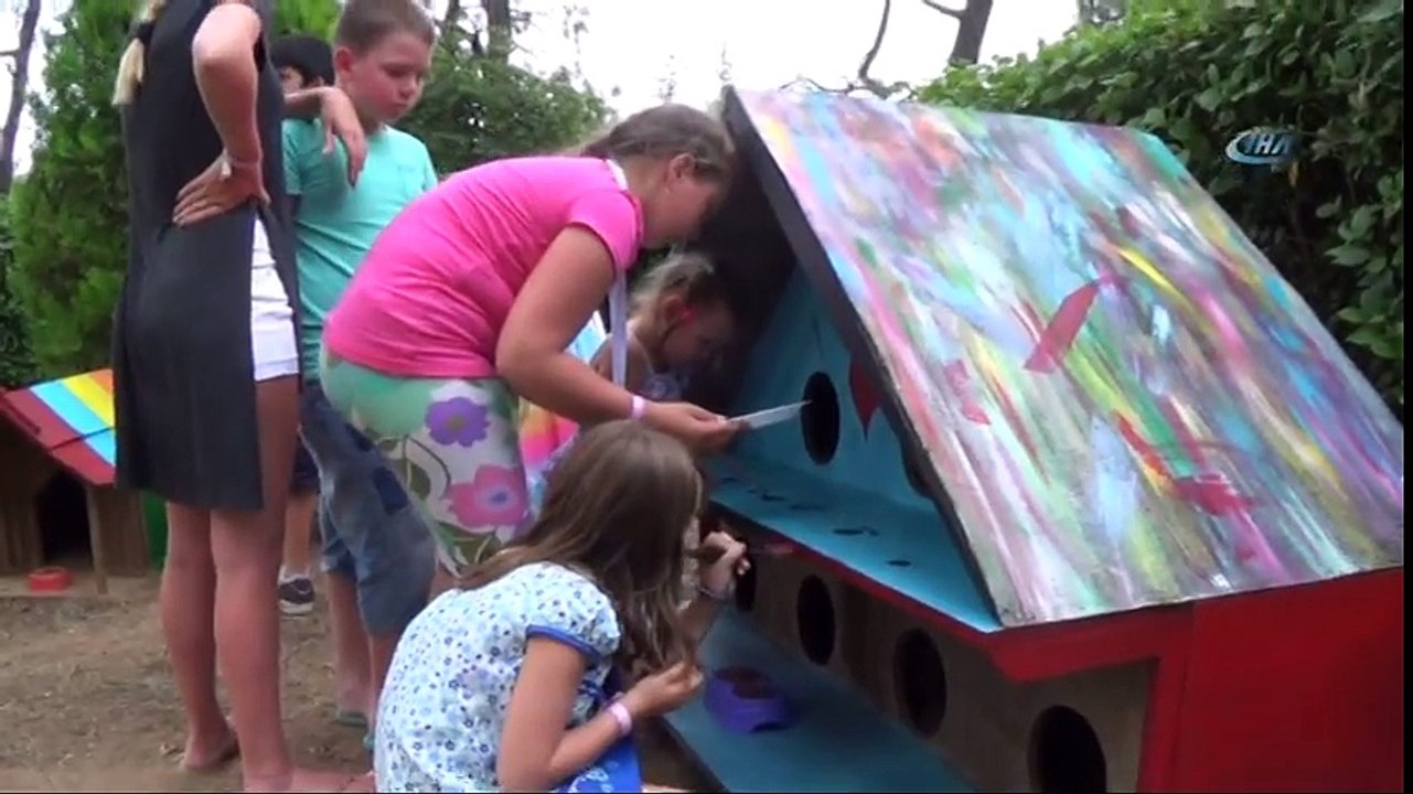 Beş Yıldızlı Otelde Kedilere 5 Yıldızlı Kafe