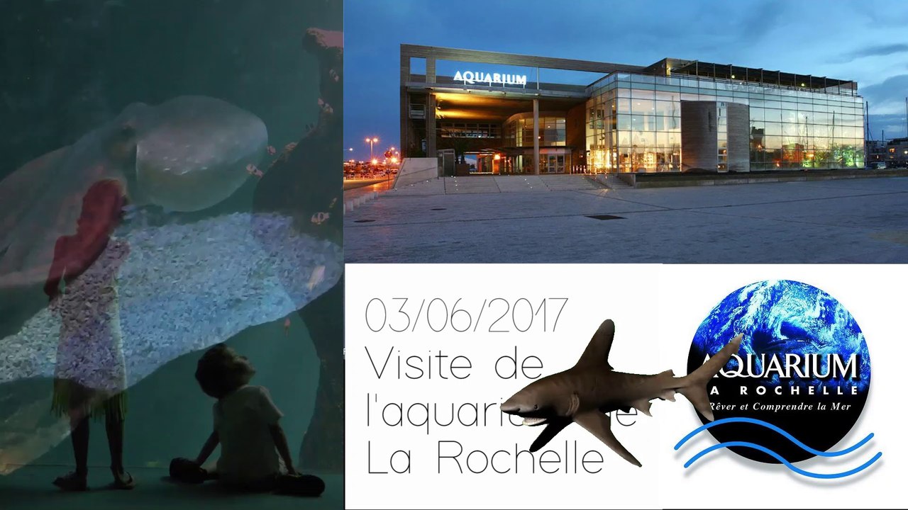 03/06/2017 Aquarium de La Rochelle