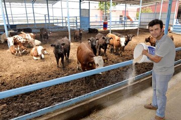 Aylık Ücreti 2-3 Bin TL Olan Çobana Kız Vermiyorlar