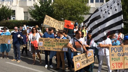 Les dentistes manifestent à Vannes