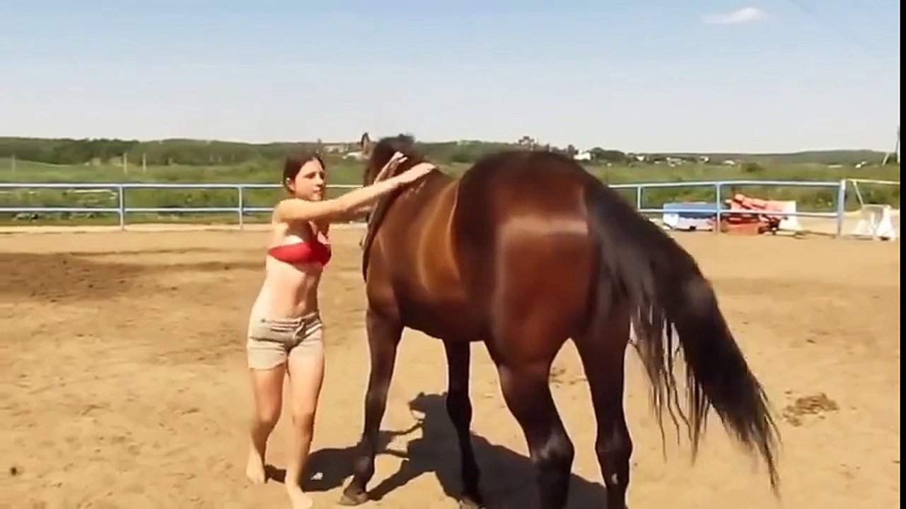 Un cheval vient en aide à sa cavalière qui galère à monter