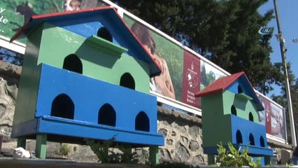 Beyoğlu Hayvan Barınağı'nda Gönüllü Temizlik