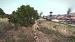 King of the Hill Funny Moments w_ TdsaxColter! (ARMA 3)
