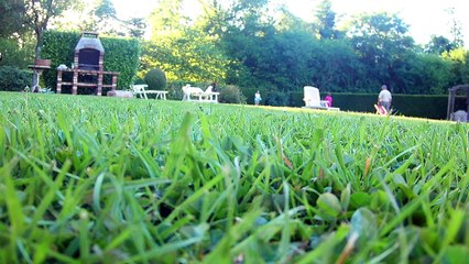 1er vol Simtoo Dragonfly