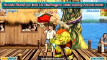 Ultra Street Fighter II The Final Challengers 3DS