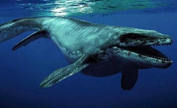 Monstres Marins HD - Aventure Préhistorique (2007)