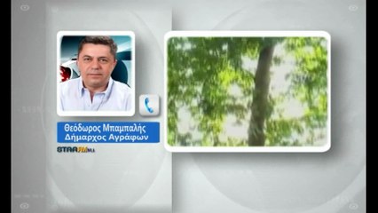 Κεραυνός σκότωσε κοπάδι με κατσίκες στα Άγραφα