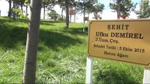 Tokat Şehitlerin Isimleri Ağaçlarda Yaşayacak