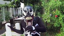 Tiny Spiderman Vs Tiny Joker! Tiny superheroes Venom Hulk Superheroes Action Movie