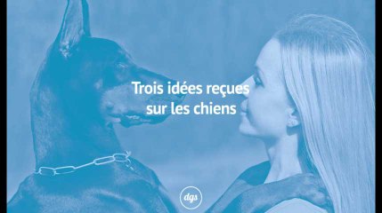 Trois idées reçues sur les chiens