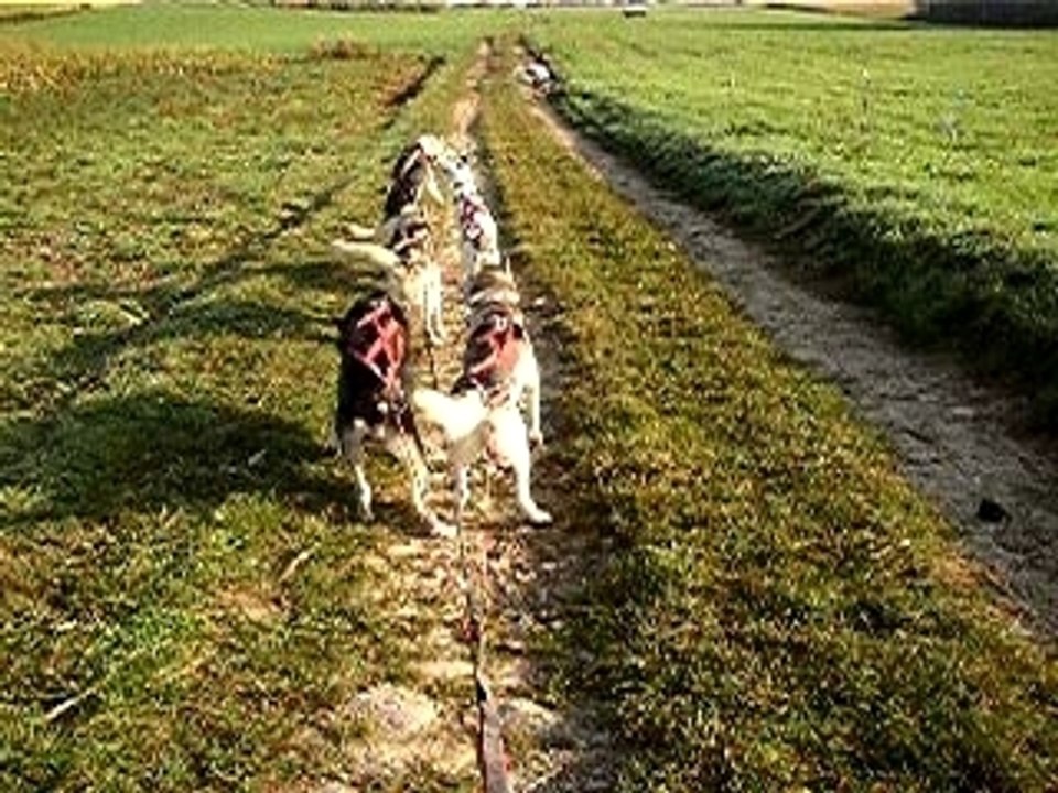 Entraînement 15 oct