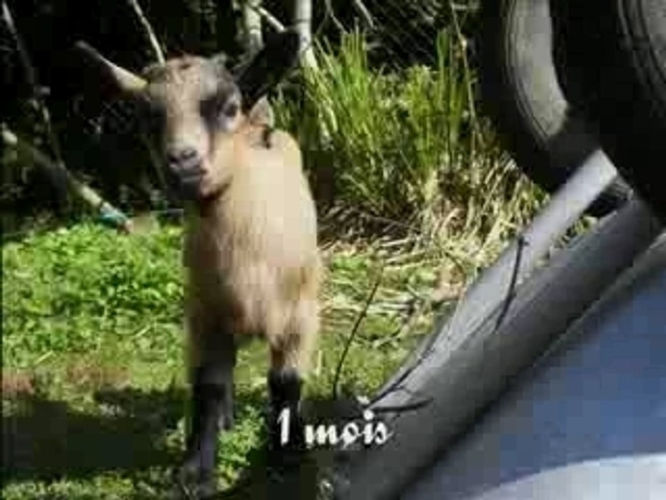 Surprise de la naissance a maintenant