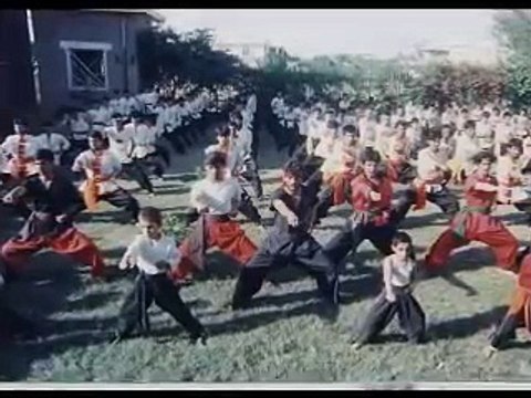 Afghan Kung Fu Champion