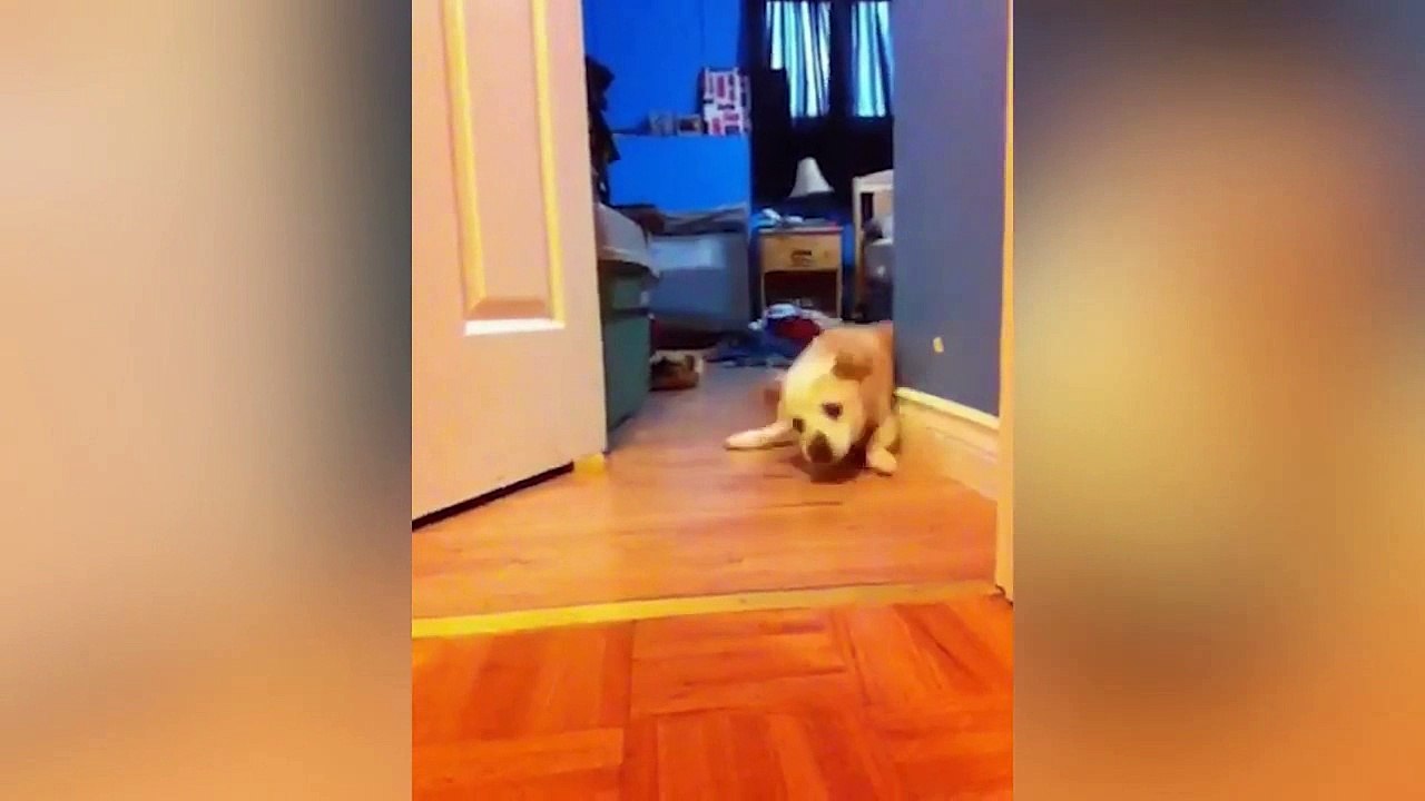 Funny Fails