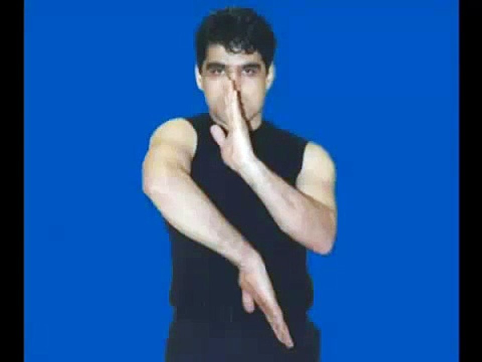 Flying Kicks Afghan kung fu