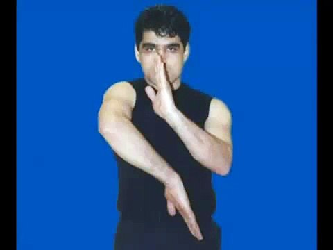 Flying Kicks Afghan kung fu