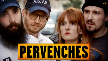 Pervenches ( Multiprise )