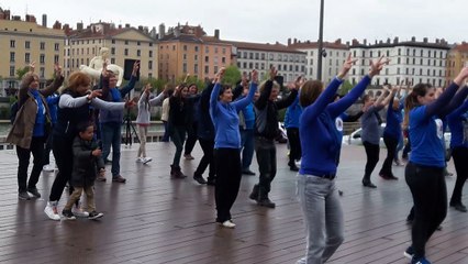 FlashMob à Lyon, 2e partie, avril 2017