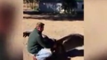 Emocionante condor vuelve a saludar a dueño de estancia que le salvonla vida