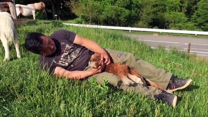 Horsie Hangout l Guys Cuddles with Mini-Ponies