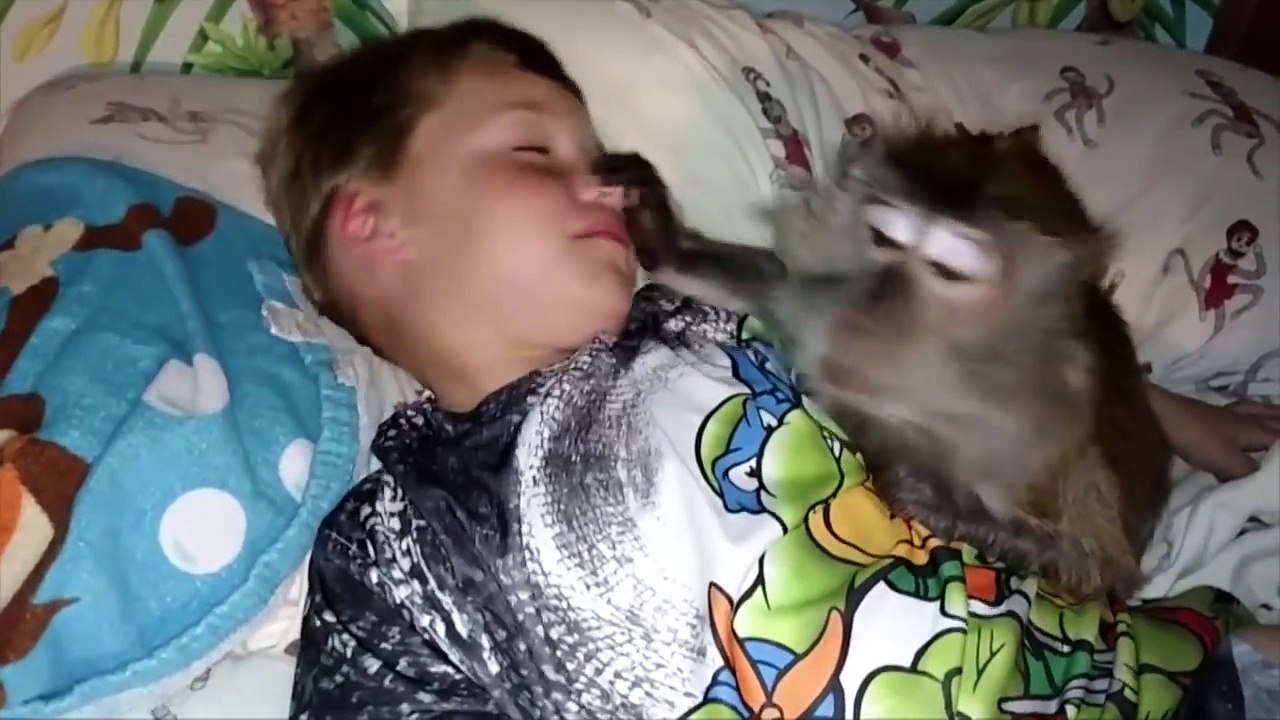 Sleepy Monkey and Son - Waking the Monkeys