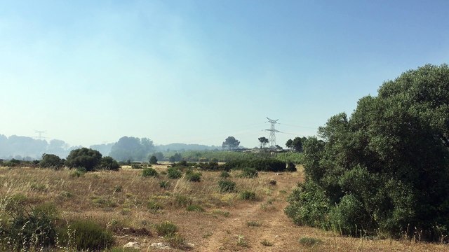 Istres : quatre Canadair interviennent sur un feu
