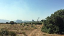Istres : quatre Canadair interviennent sur un feu