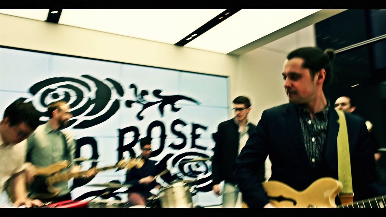 Cold Roses "Staying Alive Ain't Easy"