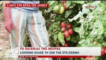 ΣΕΙΣΜΟΣ ΒΡΙΣΑ ΛΕΣΒΟΣ