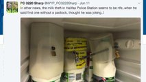 Police Take Extreme Measures to Stop a Milk Thief At Their Station