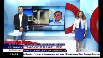 Ο καθηγητής σεισμολογίας Π.Παπαδημητρίου για το ρήγμα της Αταλάντης