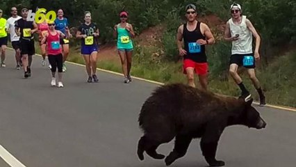 A Bear Makes a Surprise Appearance During Colorado Race