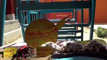 Earthday Activity PGMS