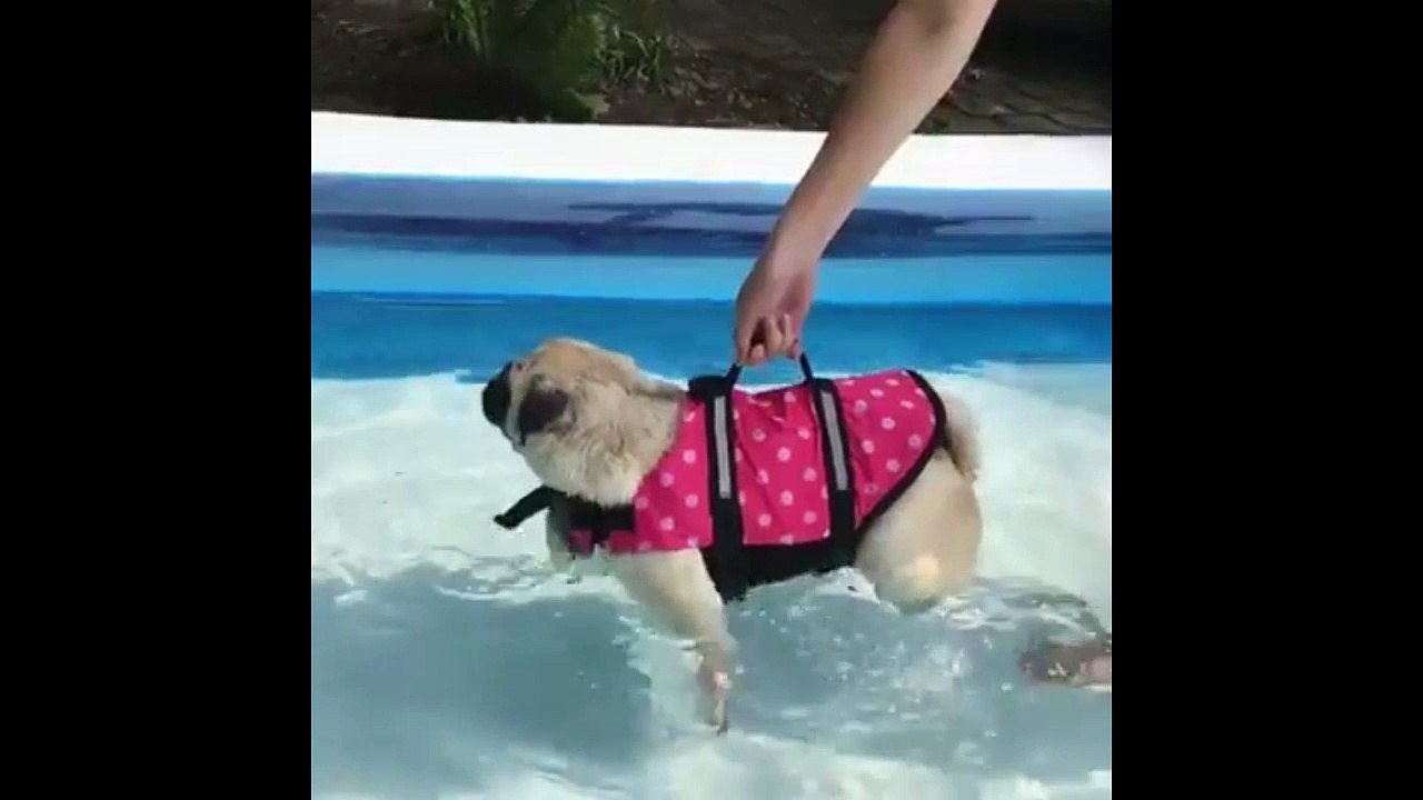Help me