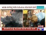 Haveri: Villagers Injured By Bear Hiding In The Farm