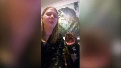 Ce chien chanteur forme un duo de choc avec sa maîtresse