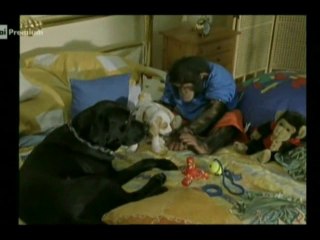 Il nostro amico Charly 7x12 - Charly e la pioggia dei soldi