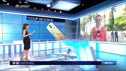 Climat : dans le Vaucluse, de fortes chaleurs à prévoir, mais pas de canicule