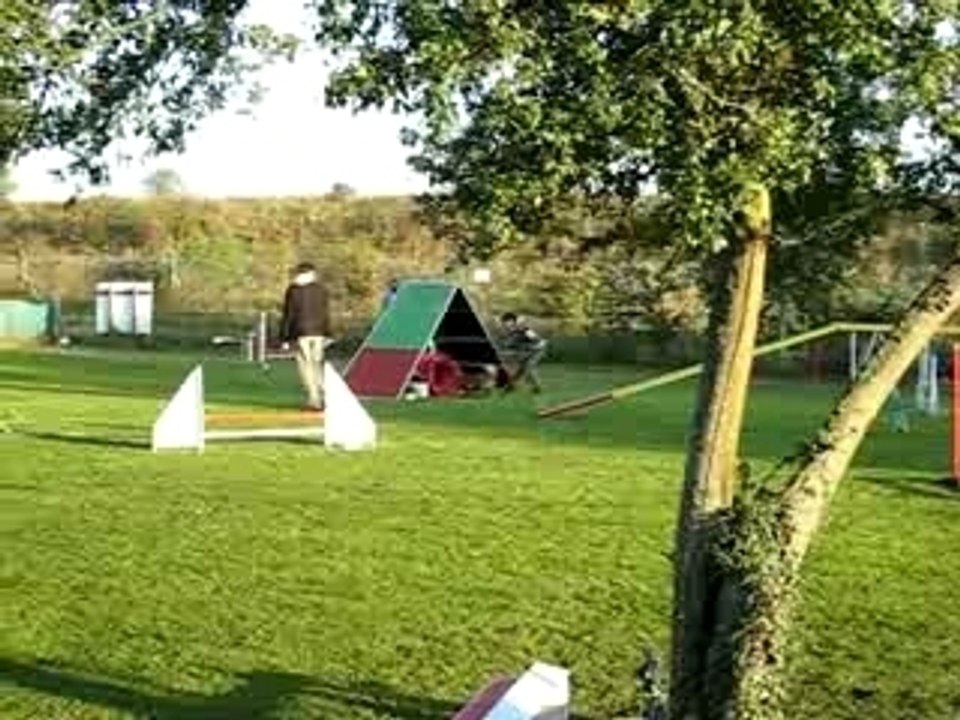 Parcours agility Zip