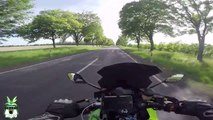 Kawasaki z1000 chasing Mustang GT  Need4Speed1