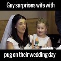 Bride surprised with pug on wedding day