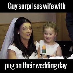 Bride surprised with pug on wedding day