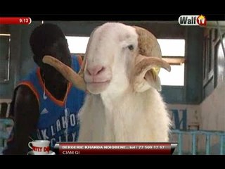 Petit Dej (25 avr.-17) - Ciam Gi: Bergerie Khanda Ndiobène