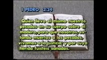 N.9 PROGRAMAS DE TV.CON JH_MUERTOS AL PECADO 1994