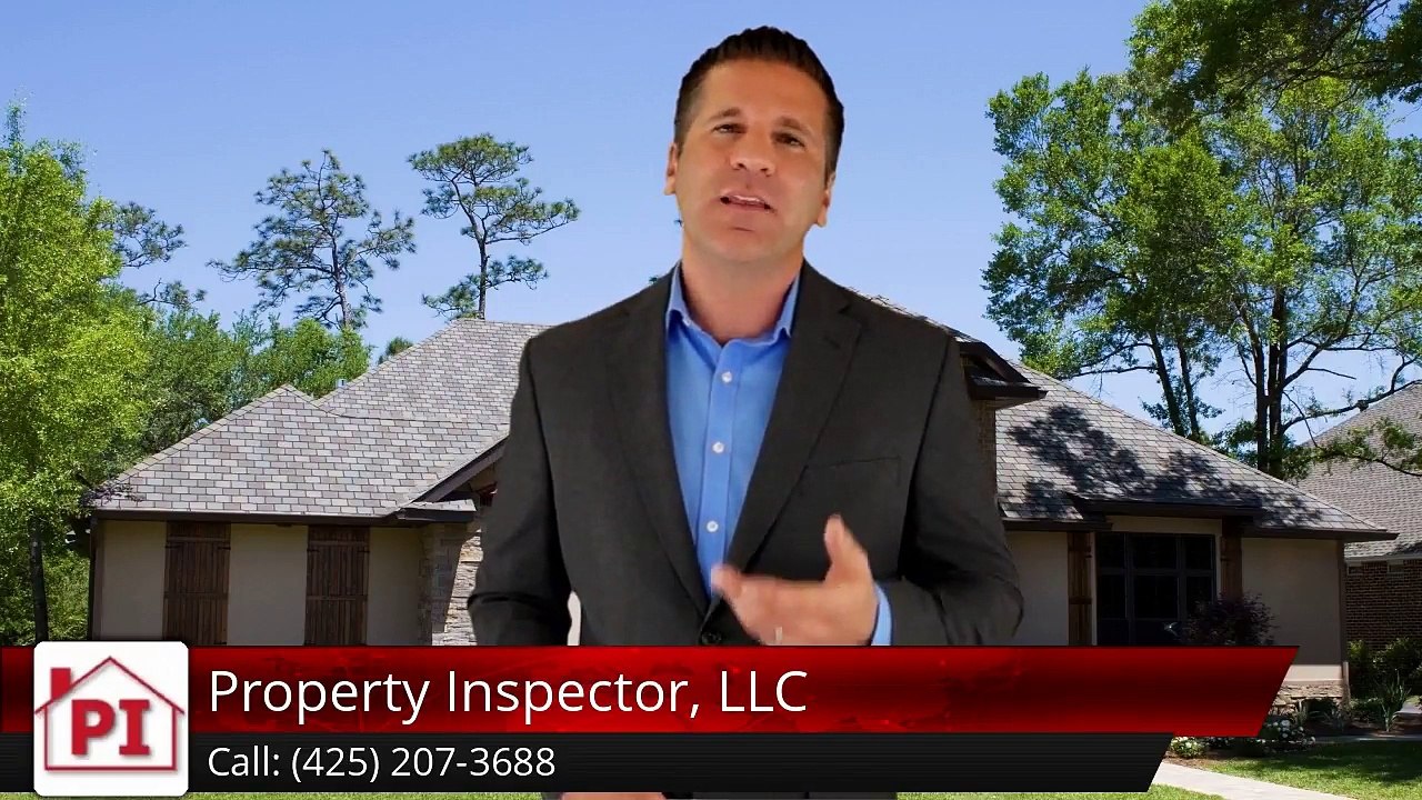 Property Inspector, LLC Bellevue Excellent 5 Star Review by Sindhu K.