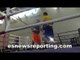 Manny Pacquiao Mitts With Freddie Roach - esnews boxing pacquiao vs algieri