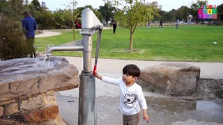 Water Dam Games for Kids at Royal Park Nature Playground